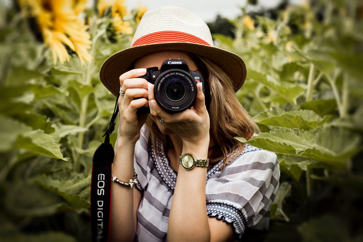 Fotografie